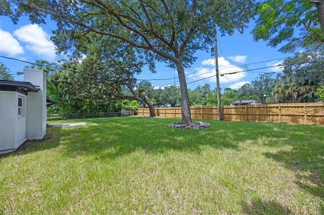 a view of park with tree s