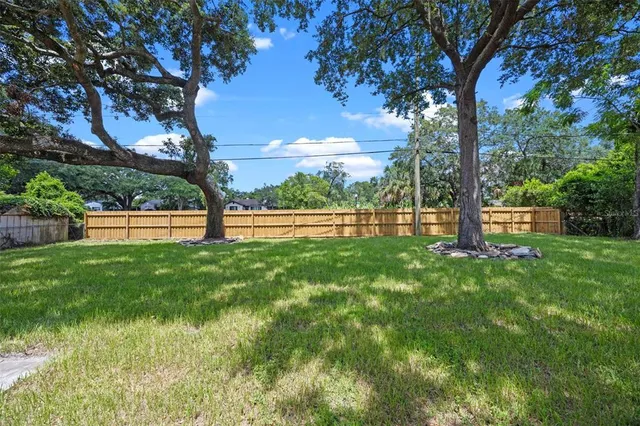 a view of park with tree s