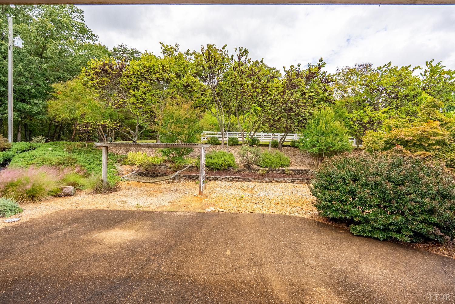 1704 Dearing Ford Road Altavista, VA 24517 - Photo 60 of 82 a view of a yard with plants and trees