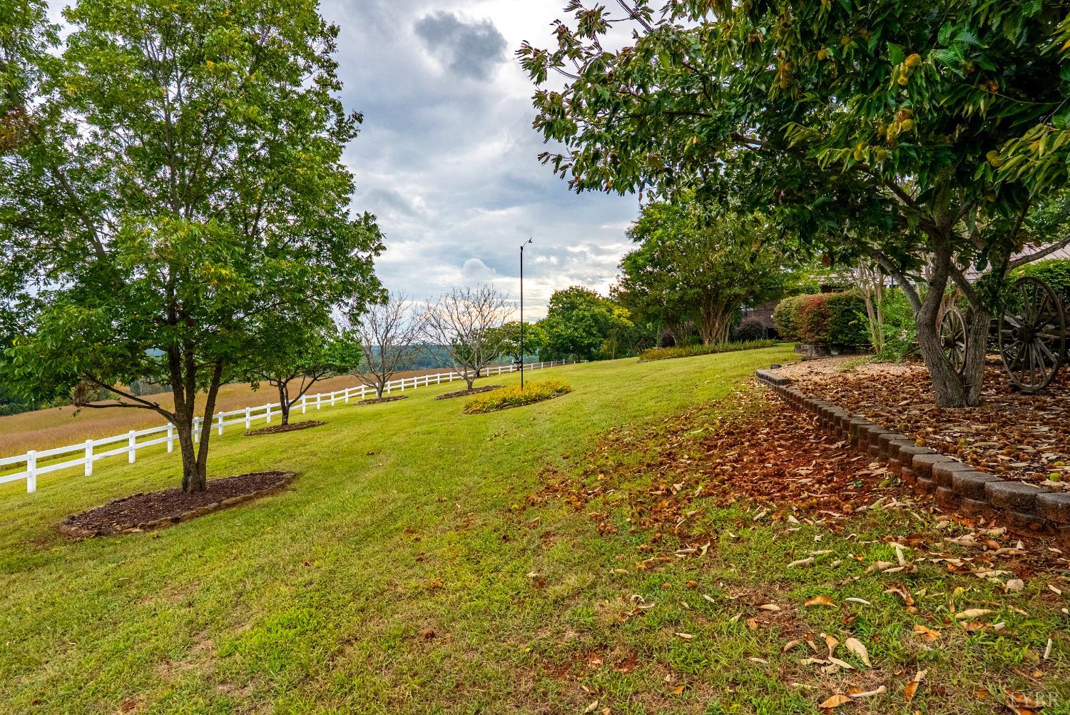1704 Dearing Ford Road Altavista, VA 24517 - Photo 65 of 82 a view of a trees with a yard