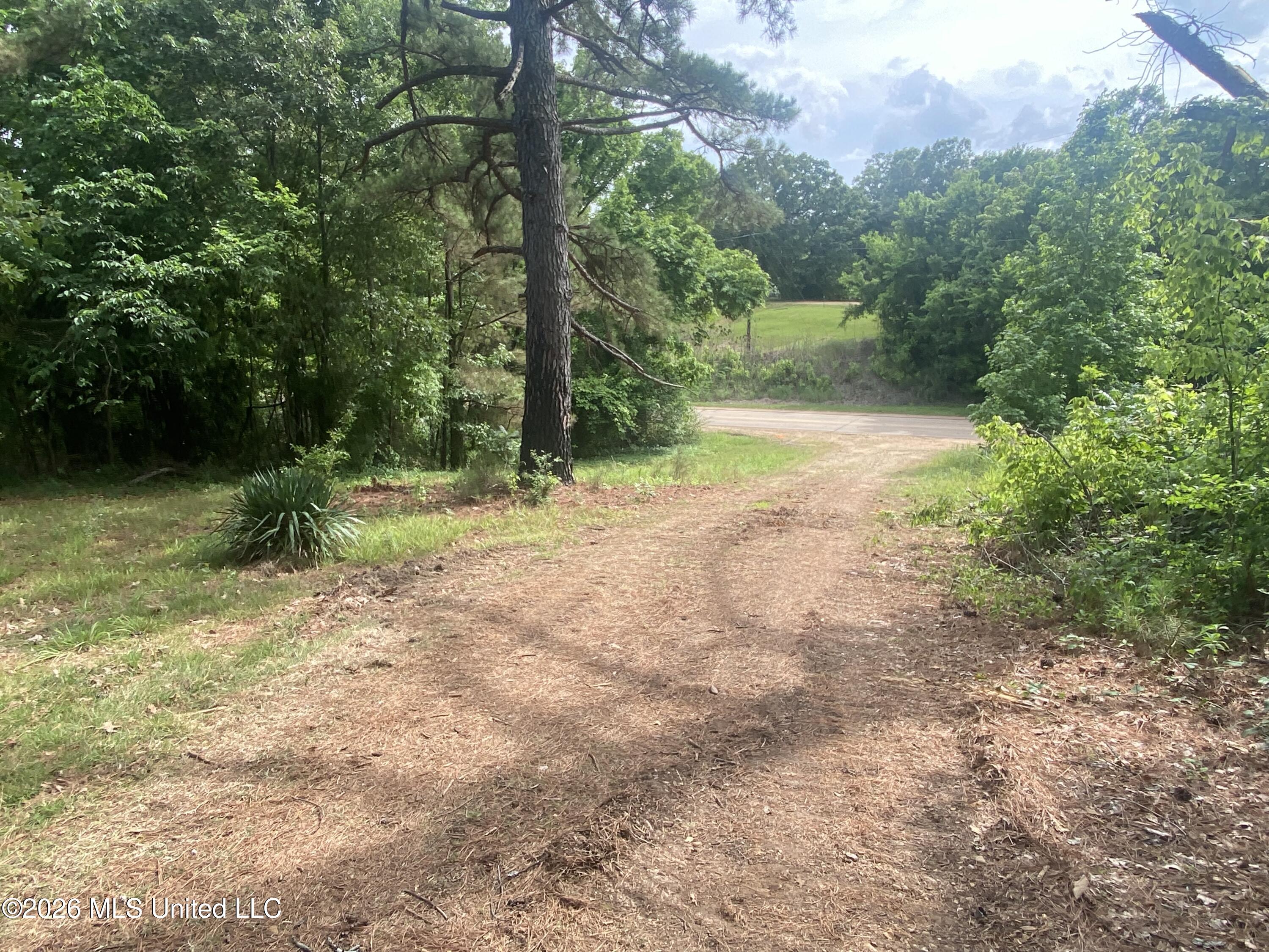 5317 Highway 3 Sarah, MS 38665 - Photo 15 of 28 IMG_7901