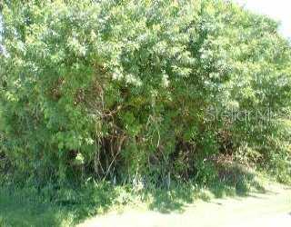 0 Hudson Road Venice, FL 34293 - Photo 1 of 1 a view of a lush green forest
