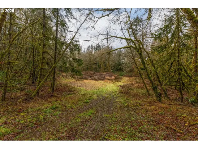 a backyard of a house with a yard and outdoor seating