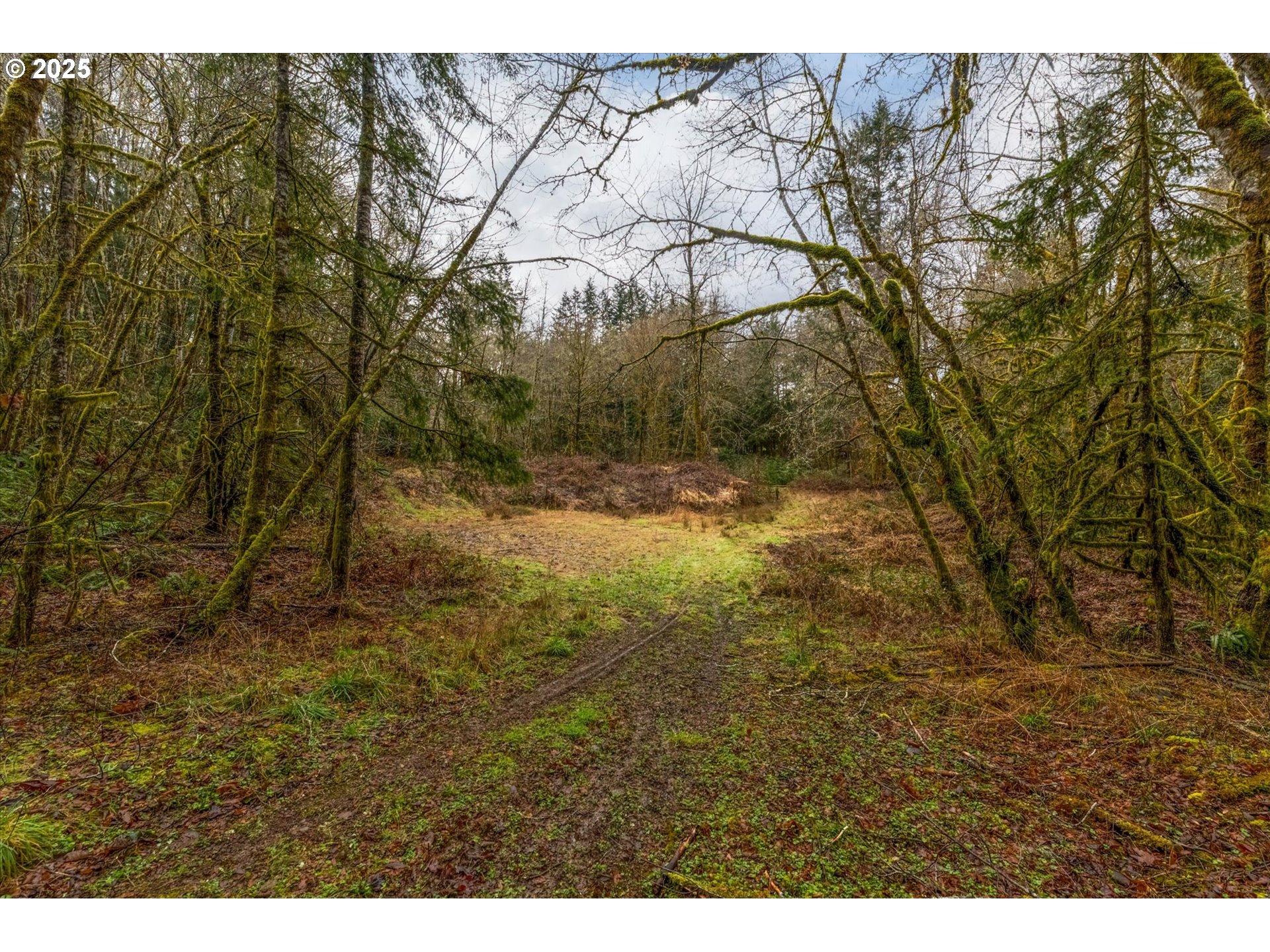113 Garden Lane Winlock, WA 98596 - Photo 25 of 33 a view of outdoor space and yard