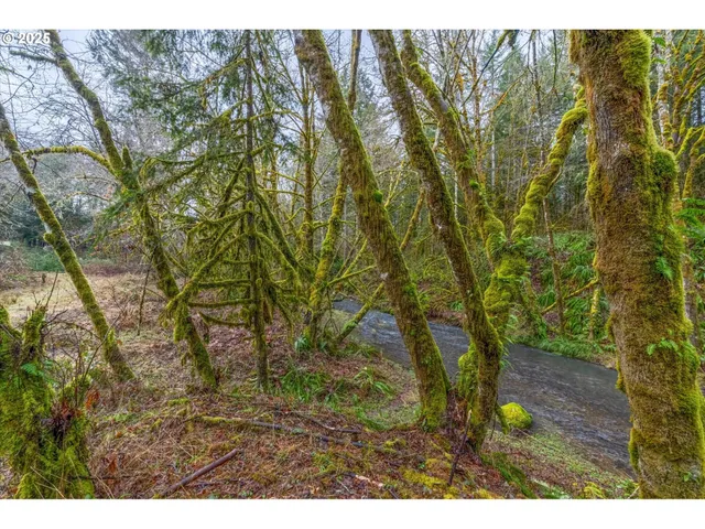 a aerial view of a house with a yard and trees all around