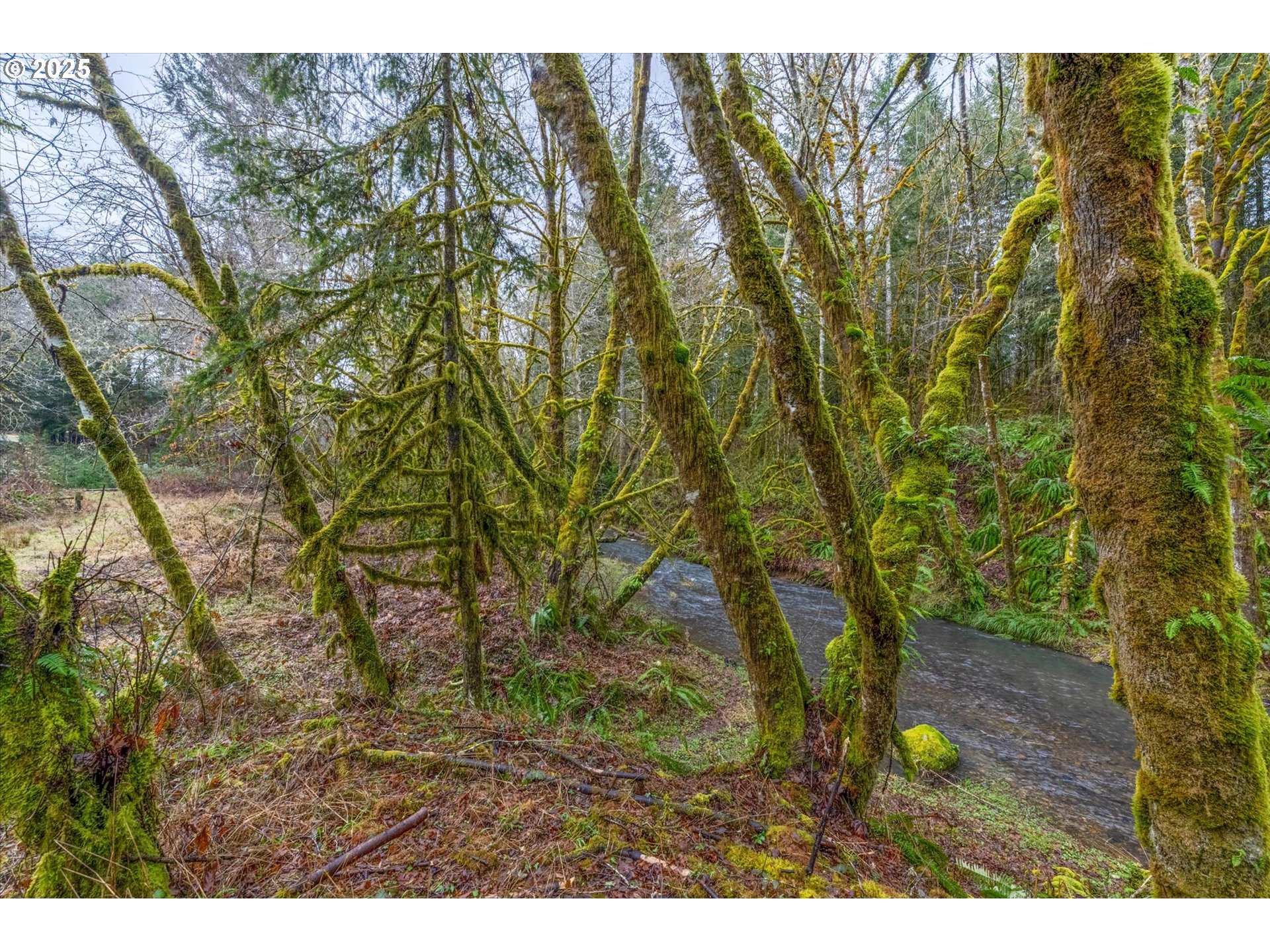 113 Garden Lane Winlock, WA 98596 - Photo 26 of 33 a backyard of a house with a yard and outdoor seating