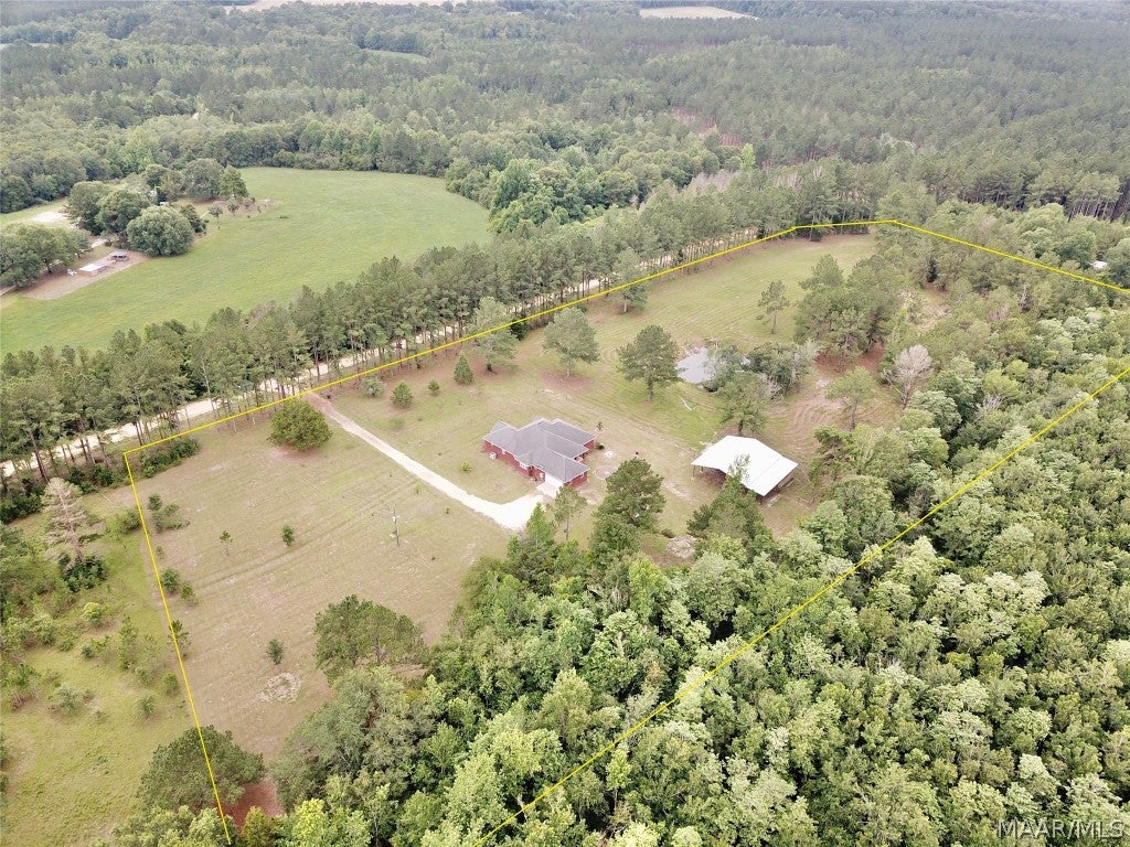 354 River Road Samson, AL 36477 - Photo 64 of 66 Gallery Image 64