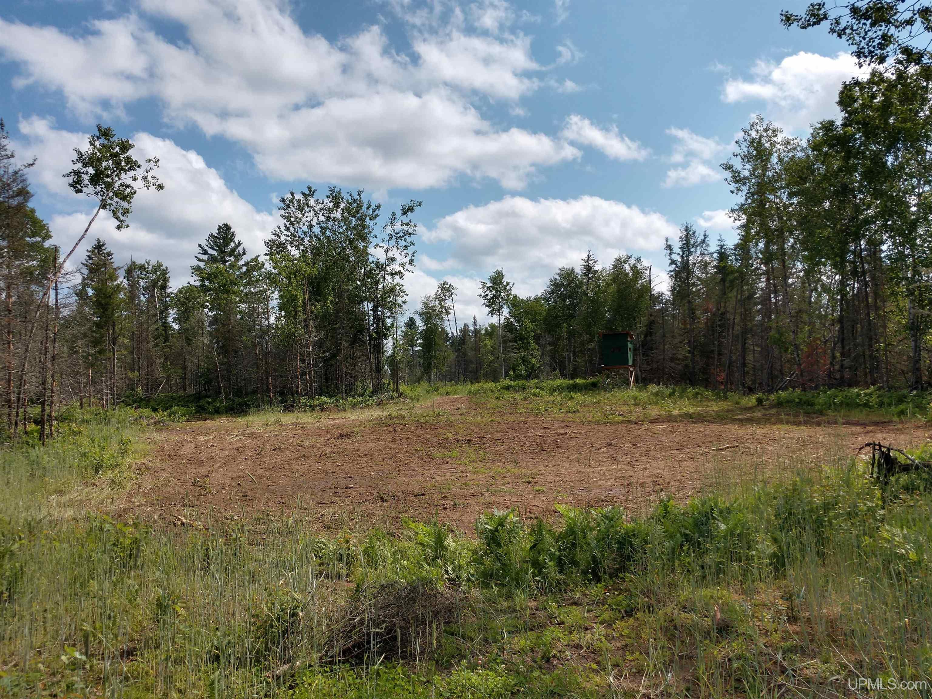601 County Road 601 Road Republic, MI 49879 - Photo 44 of 60