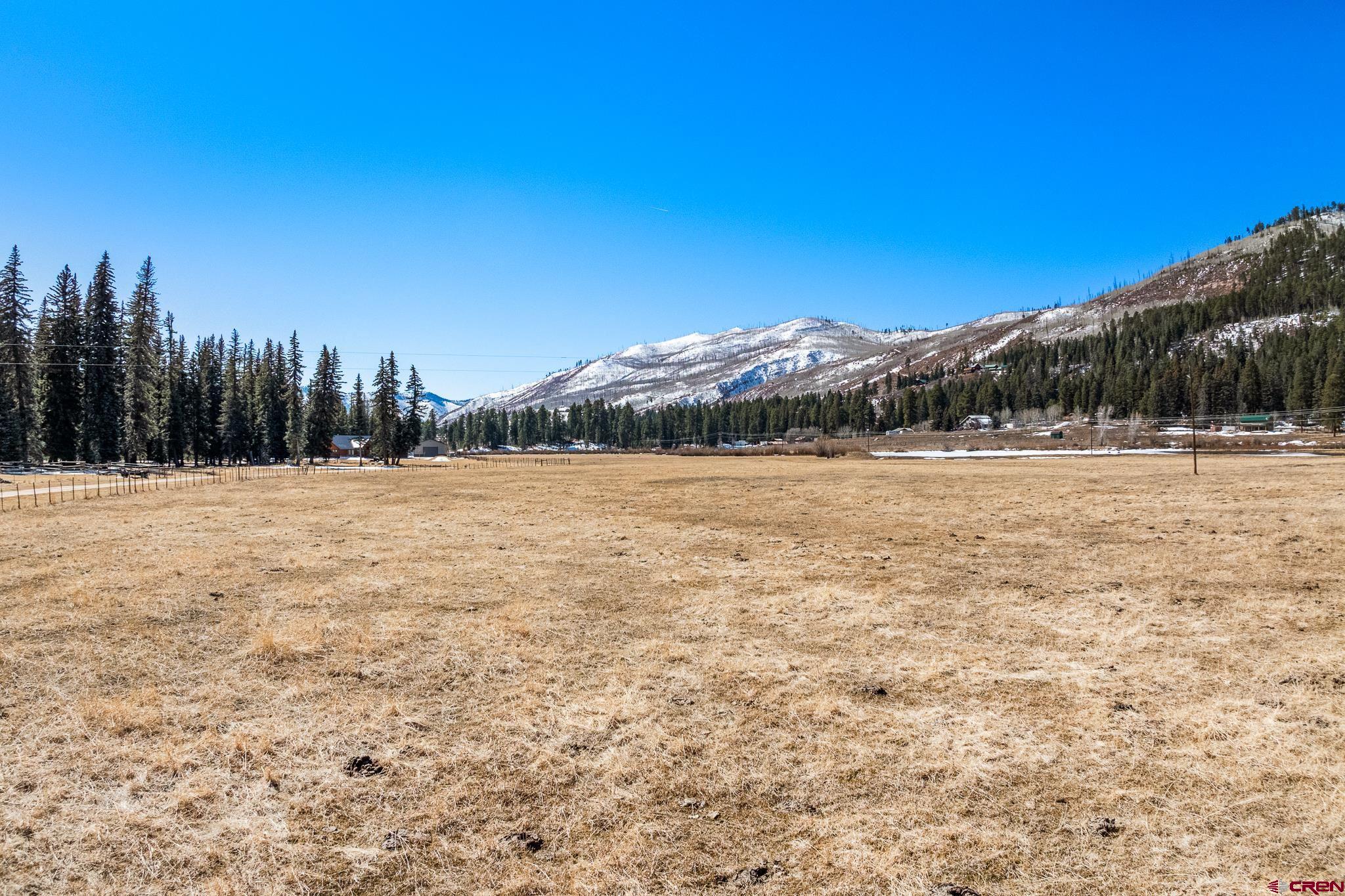 156 Golden Forest Road Bayfield, CO 81122 - Photo 11 of 28 a view of outdoor space with trees