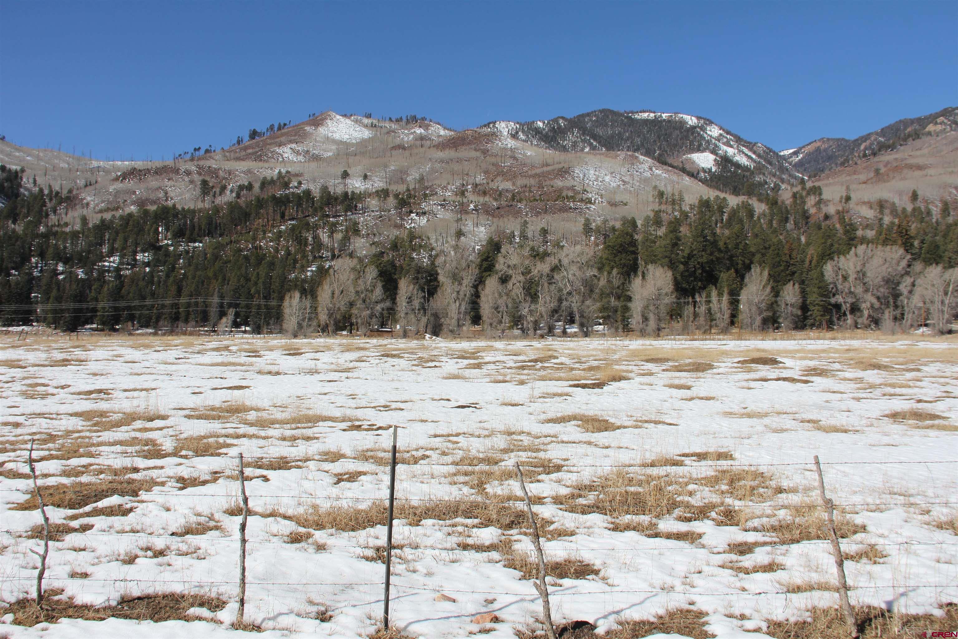156 Golden Forest Road Bayfield, CO 81122 - Photo 21 of 28 a view of side of a house with a snow