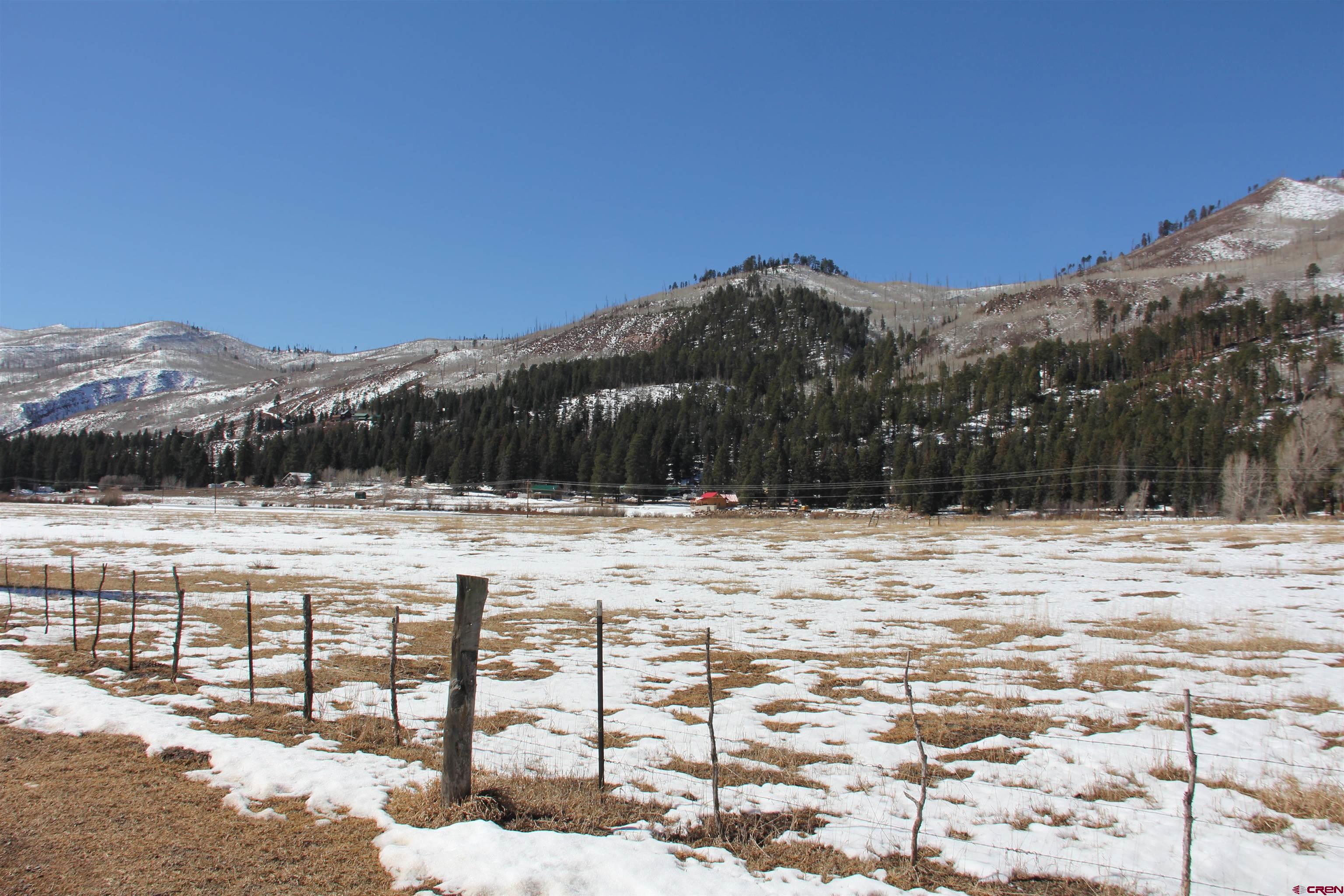 156 Golden Forest Road Bayfield, CO 81122 - Photo 22 of 28 a view of a yard