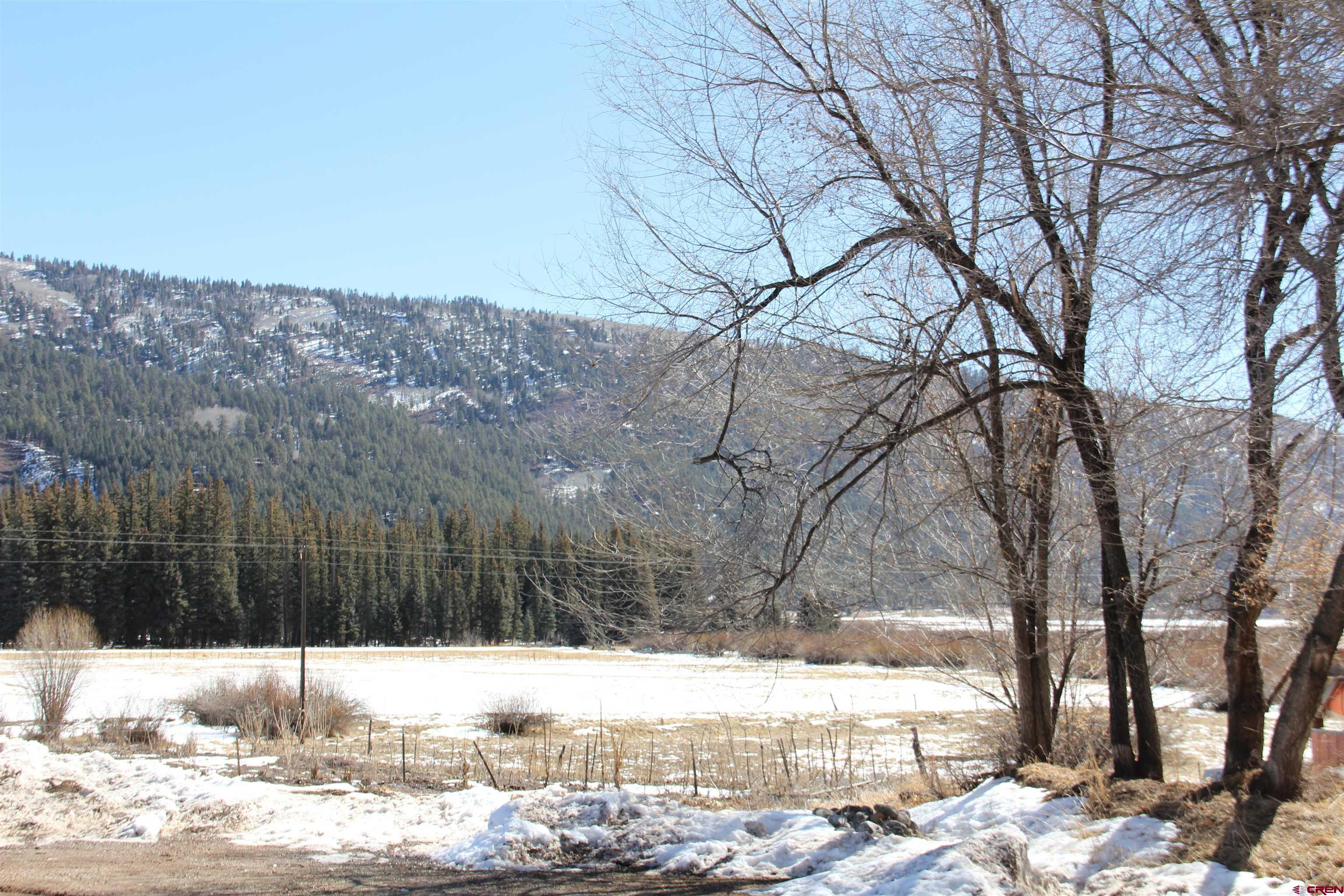 156 Golden Forest Road Bayfield, CO 81122 - Photo 27 of 28 a view of a yard covered in snow