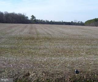 0 Rehobeth Road Pocomoke City, MD 21851 - Photo 1 of 1 a view of lake