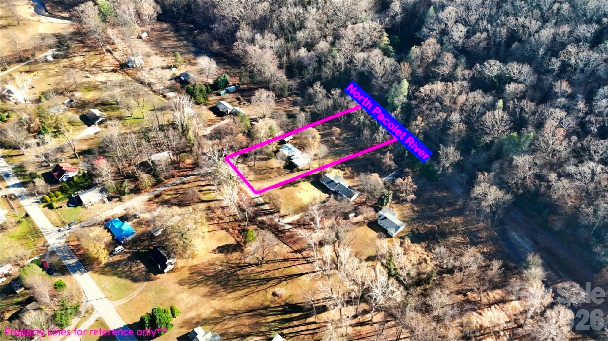 109 Wall Road Tryon, NC 28782 - Photo 2 of 33