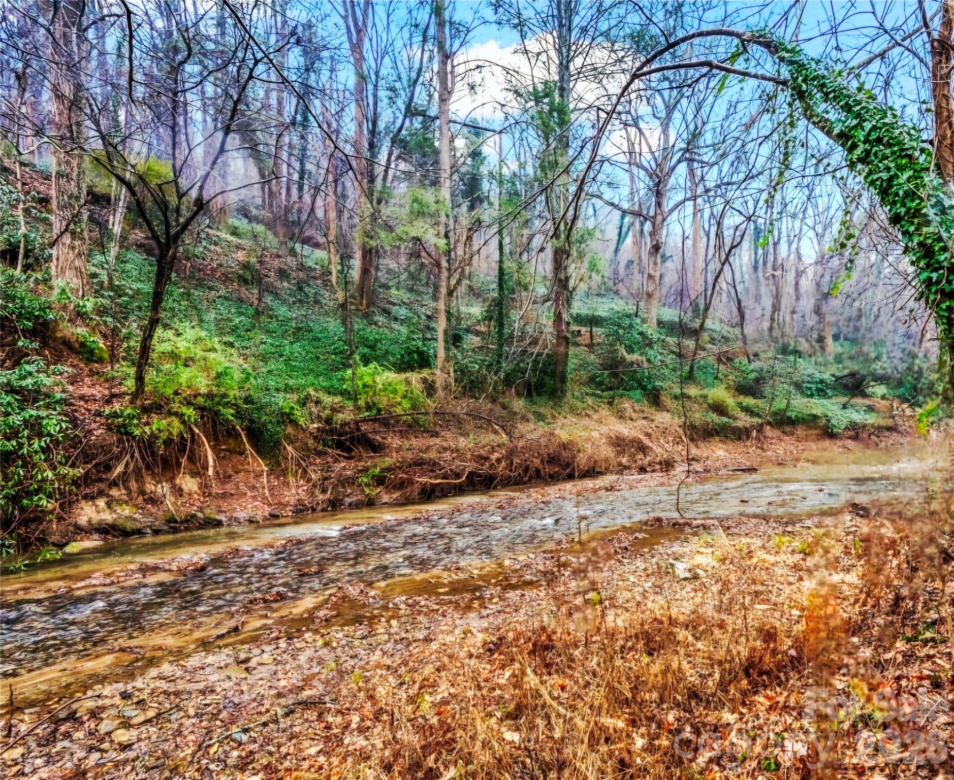 109 Wall Road Tryon, NC 28782 - Photo 3 of 33