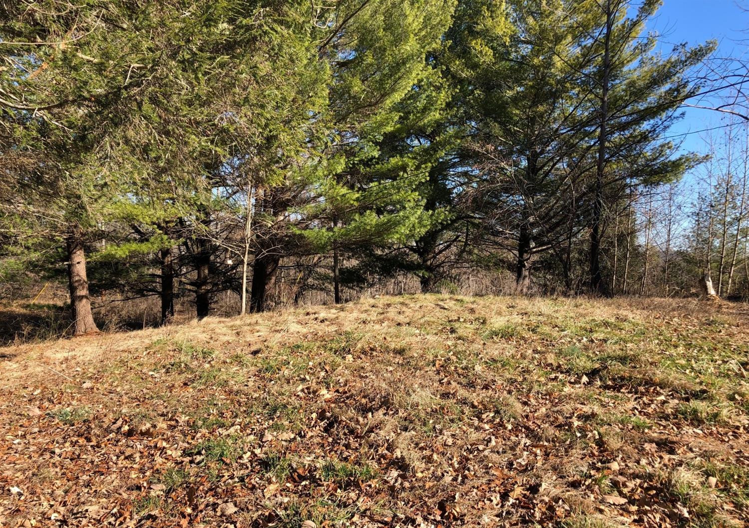 778 Sand Hl Road Livingston, KY 40445 - Photo 1 of 4 Photo 1