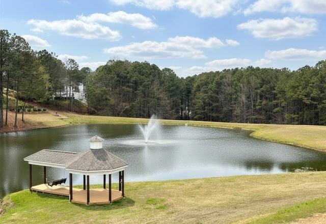 9655 Old Riverside Lane Ball Ground, GA 30107 - Photo 40 of 45