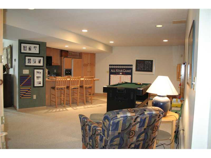 220 Timber Ridge Road Pittsburgh, PA 15238 - Photo 13 of 21 Den/Family/Great Room. The finished lower level is HUGE with a full kitchen, living room, bedroom and full bathroom.