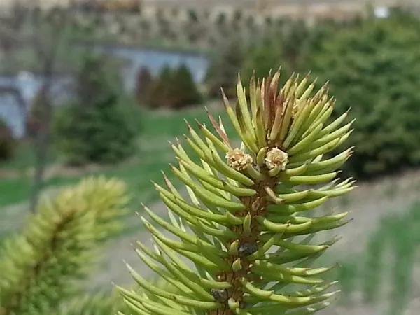 $139,000 | 1428 Yeske, Waunakee, WI 53597