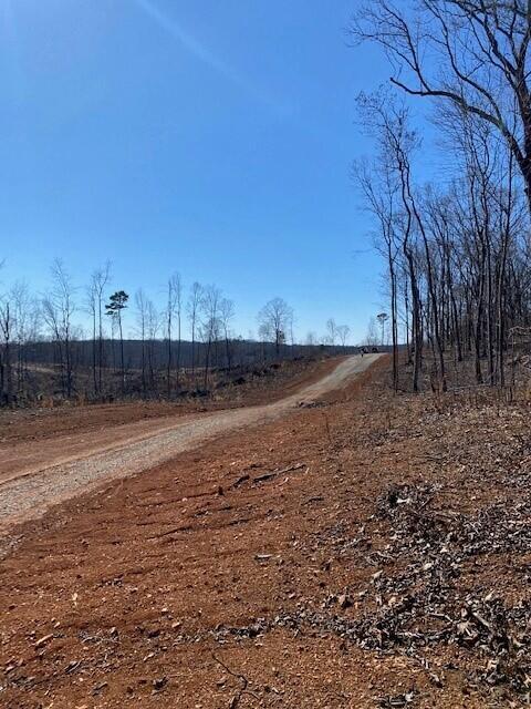 8 River Road, Unit TRACT 8 Decatur, TN 37322 - Photo 2 of 2 20230315220915438670000000-o