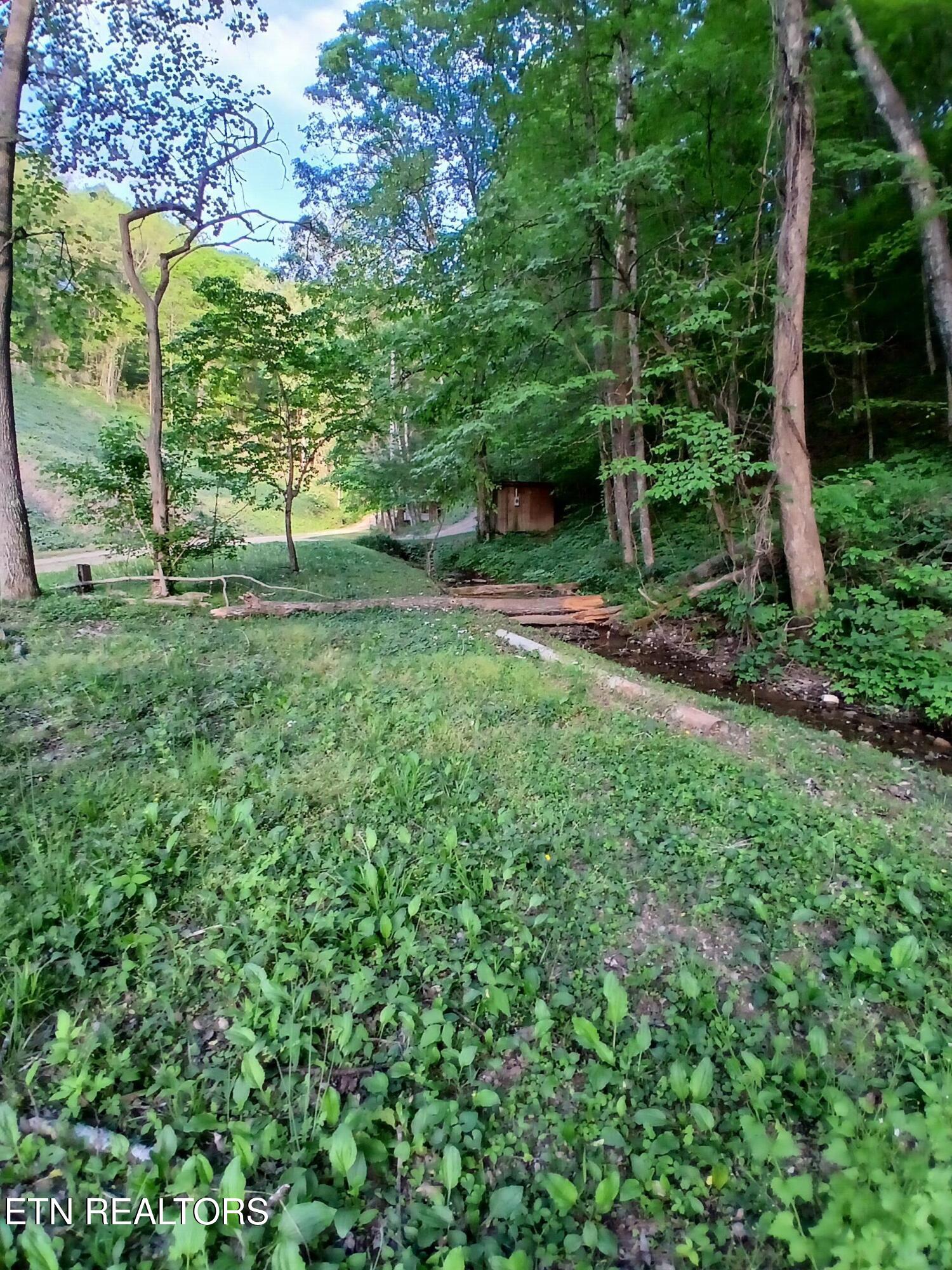 469 Brownlo Road Sneedville, TN 37869 - Photo 38 of 58 20260427_192616