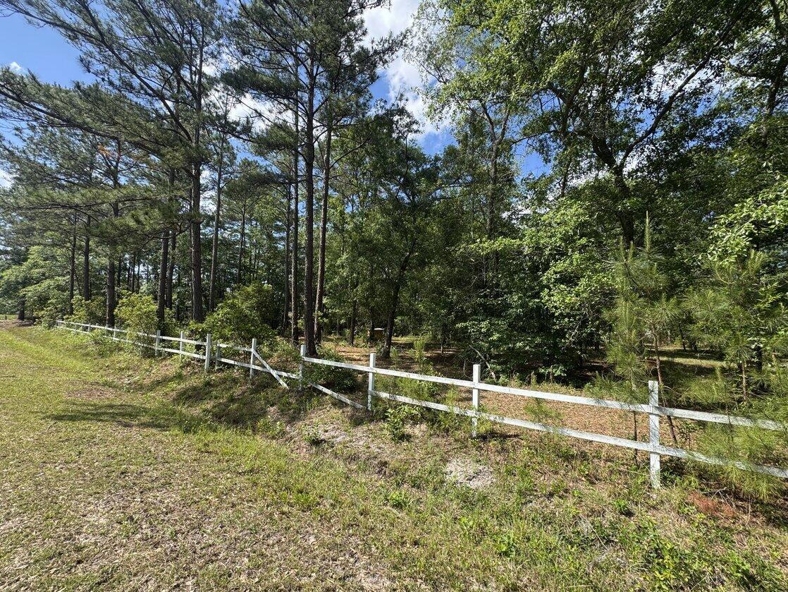 3452 Cypress Pond Road Walterboro, SC 29488 - Photo 4 of 9