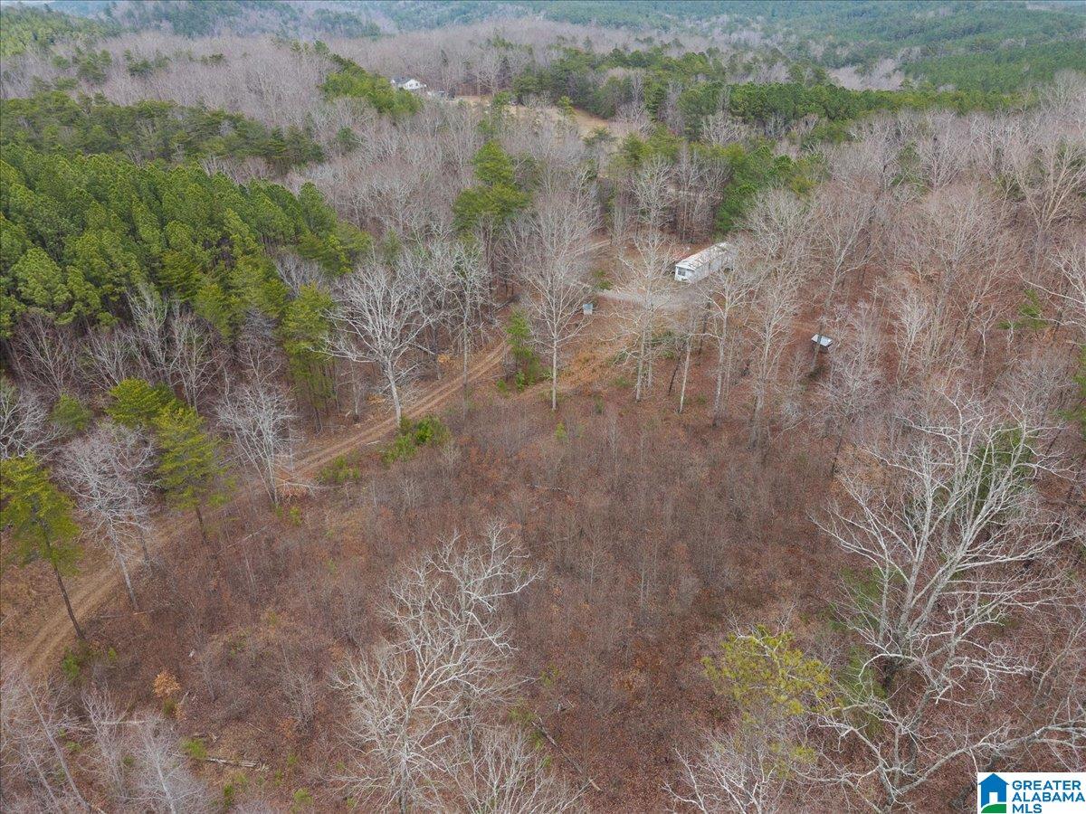 1484 Waid Road Oneonta, AL 35121 - Photo 27 of 33