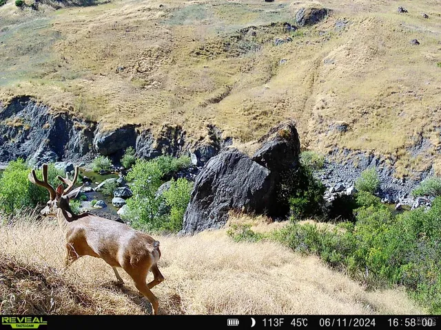 $6,950,000 | 29810 River Road, Cloverdale, CA 95425