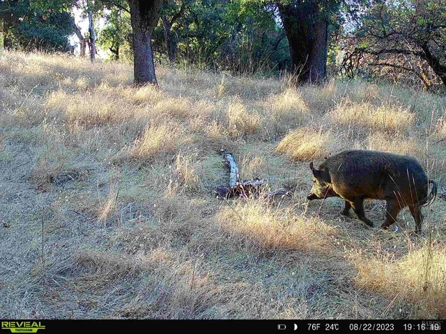 $6,950,000 | 29810 River Road, Cloverdale, CA 95425