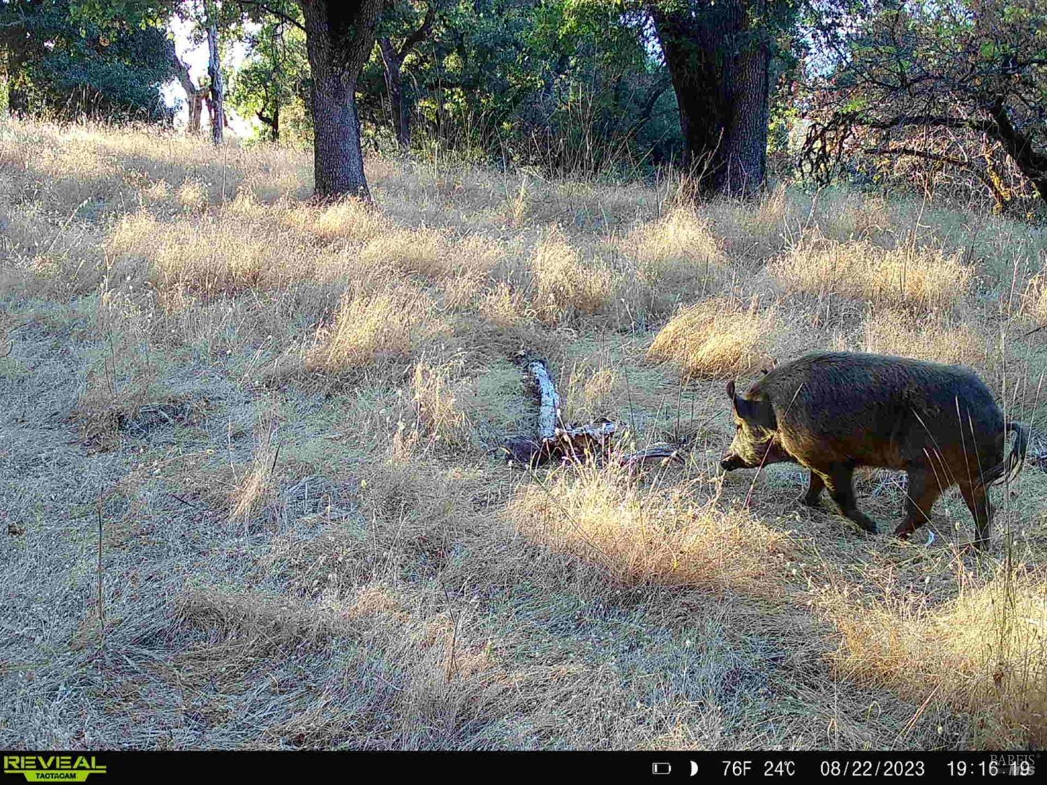 29810 River Road Cloverdale, CA 95425 - Photo 28 of 32