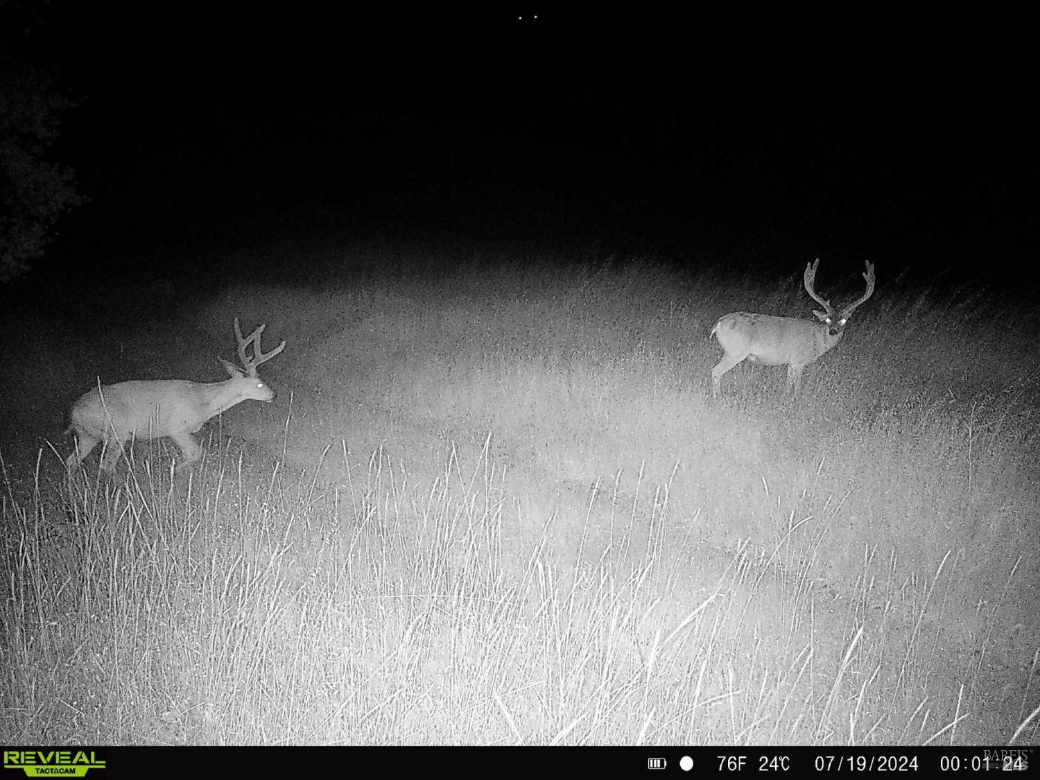 29810 River Road Cloverdale, CA 95425 - Photo 29 of 32