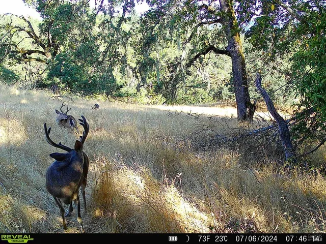 $6,950,000 | 29810 River Road, Cloverdale, CA 95425