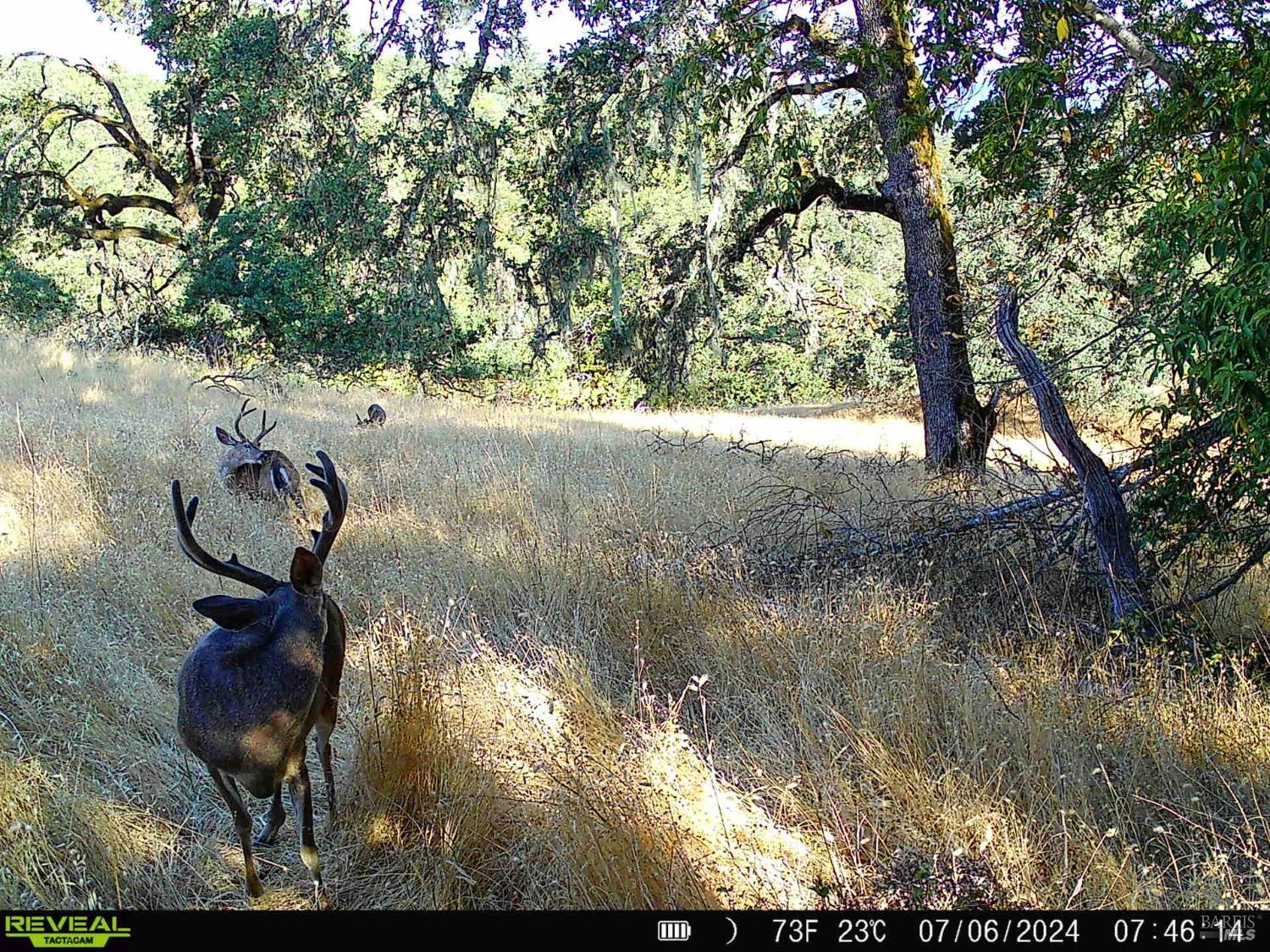29810 River Road Cloverdale, CA 95425 - Photo 30 of 32