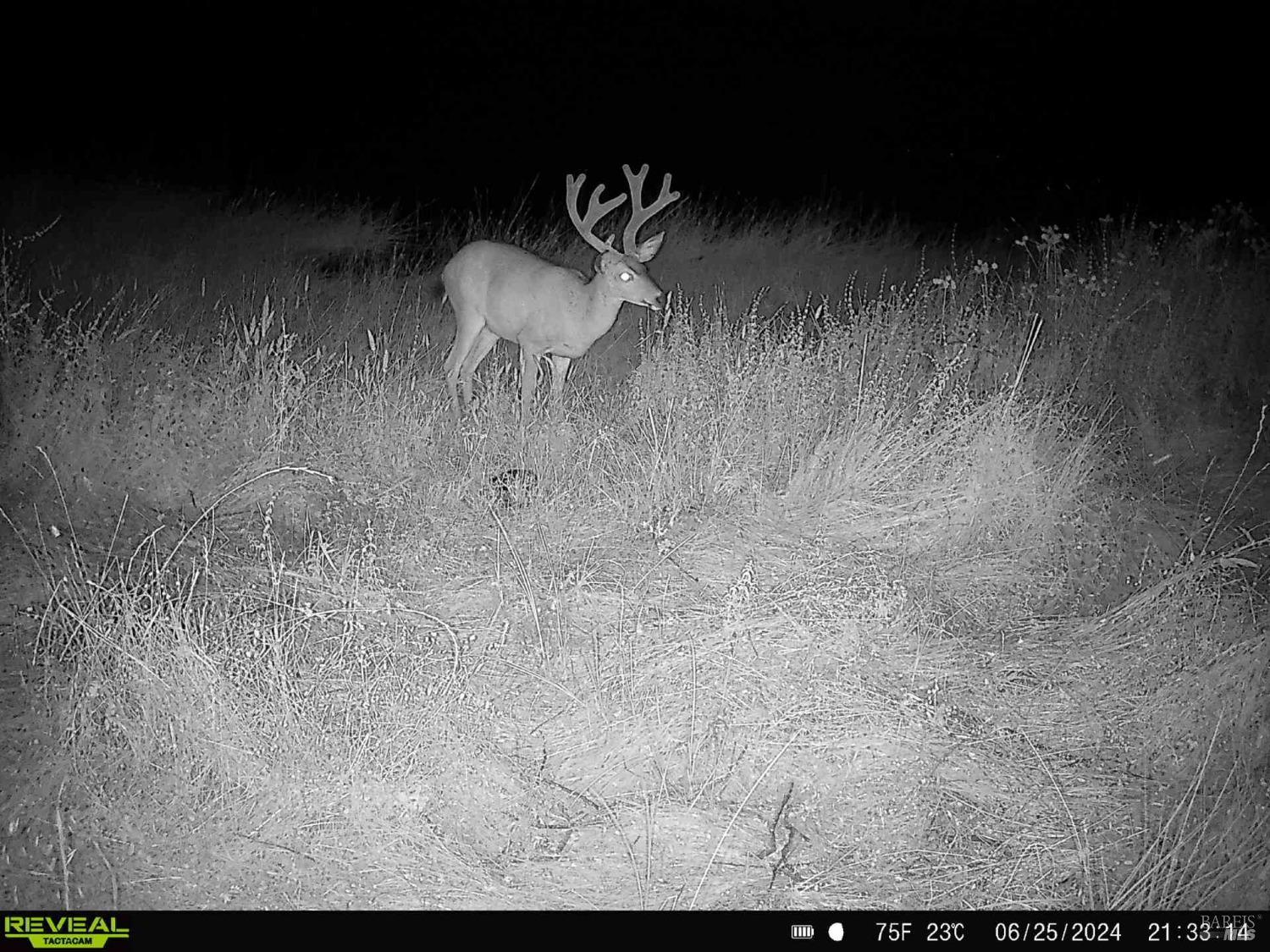 29810 River Road Cloverdale, CA 95425 - Photo 31 of 32