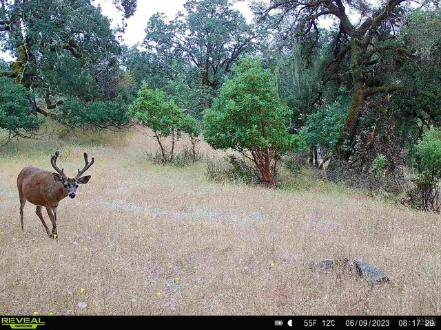 $6,950,000 | 29810 River Road, Cloverdale, CA 95425