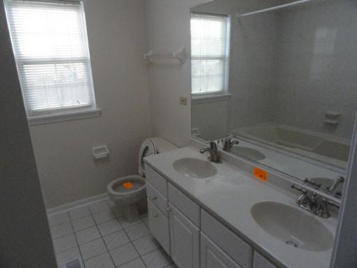 216 Homewood Drive Bolingbrook, IL 60440 - Photo 3 of 16 a bathroom with a sink toilet and window