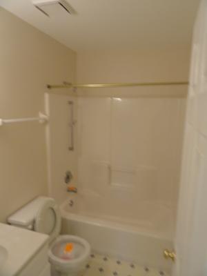 216 Homewood Drive Bolingbrook, IL 60440 - Photo 6 of 16 a bathroom with a bathtub and a shower