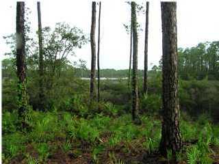 208 East Nursery Road Santa Rosa Beach, FL 32459 - Photo 1 of 1 a view of outdoor space and garden