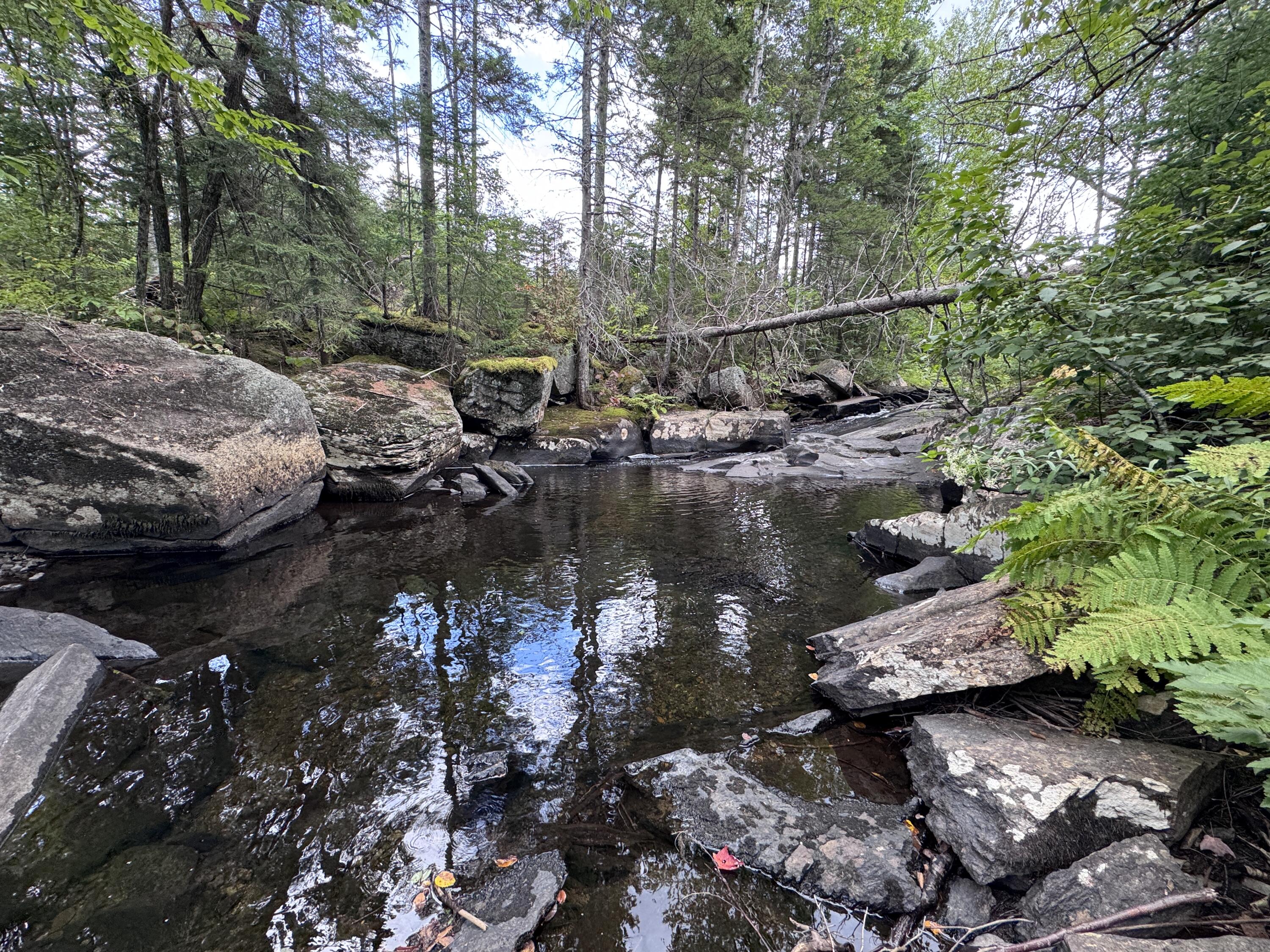 4 Map Sandy River Plt, ME 04970 - Photo 16 of 24 IMG_5316