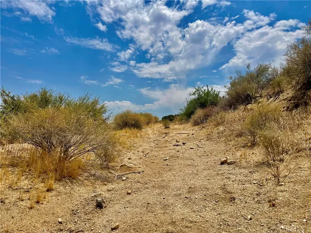 a view of a dry yard with mountains