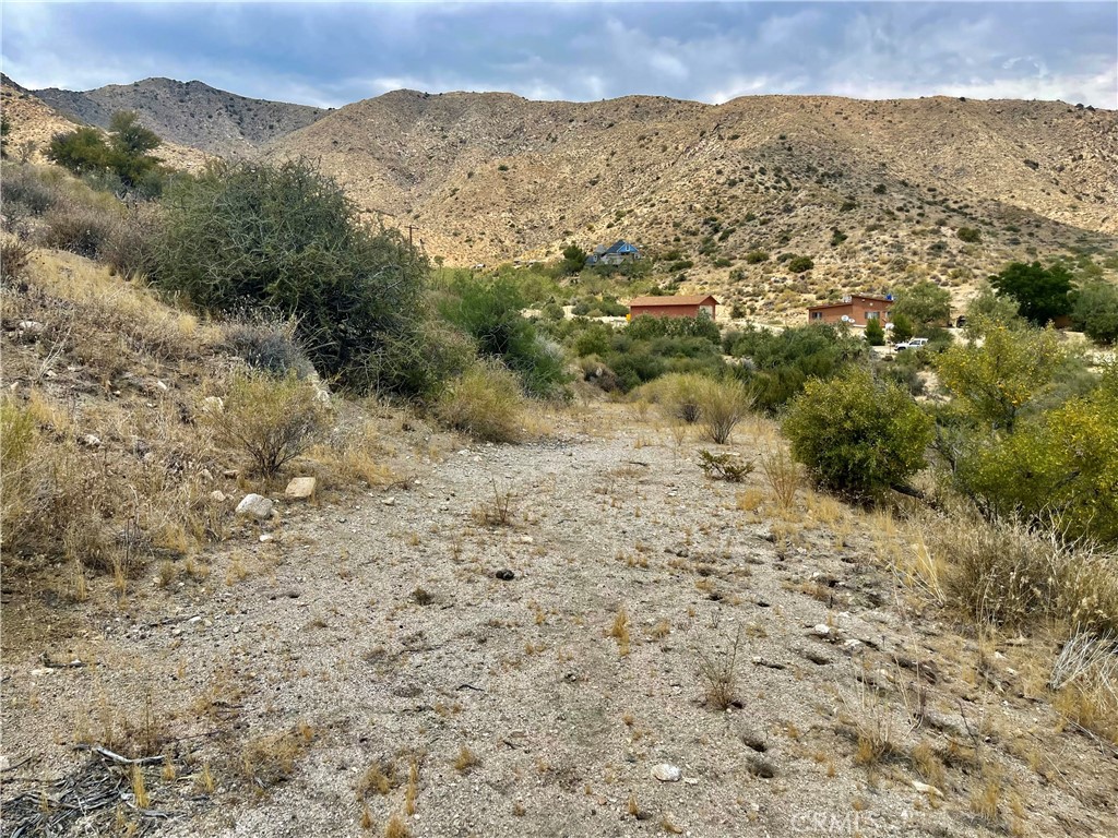 0 Pinon Avenue Morongo Valley, CA 92256 - Photo 19 of 24 a view of a dry yard with mountains