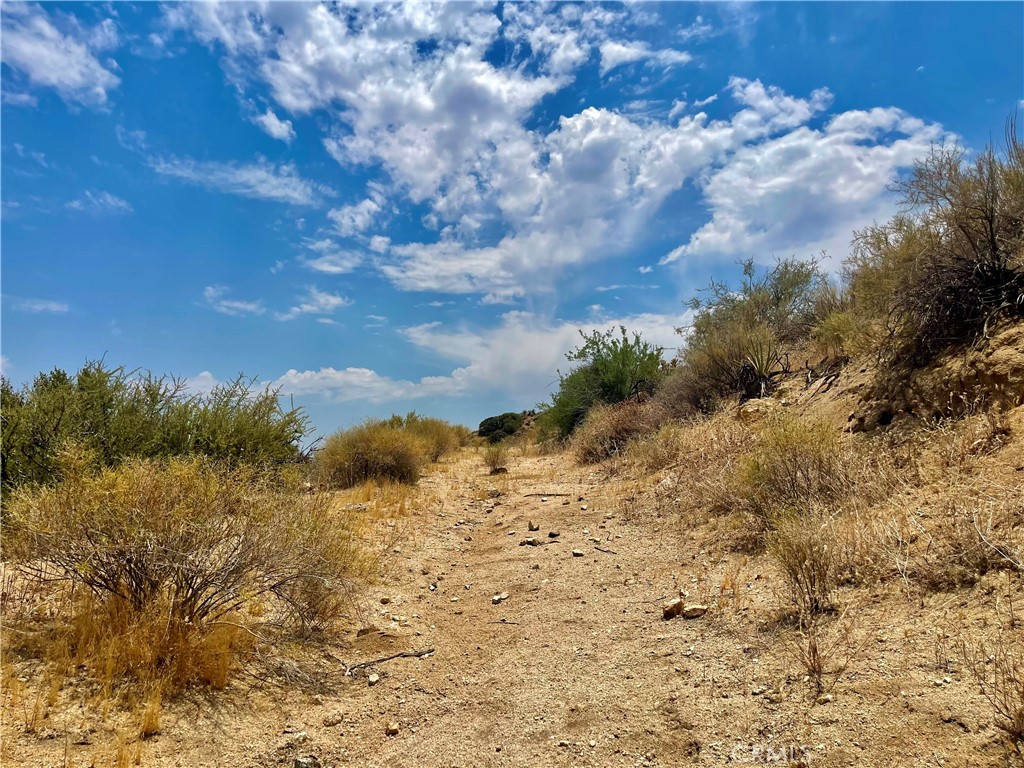 0 Pinon Avenue Morongo Valley, CA 92256 - Photo 20 of 24 a view of a dry yard with lots of bushes
