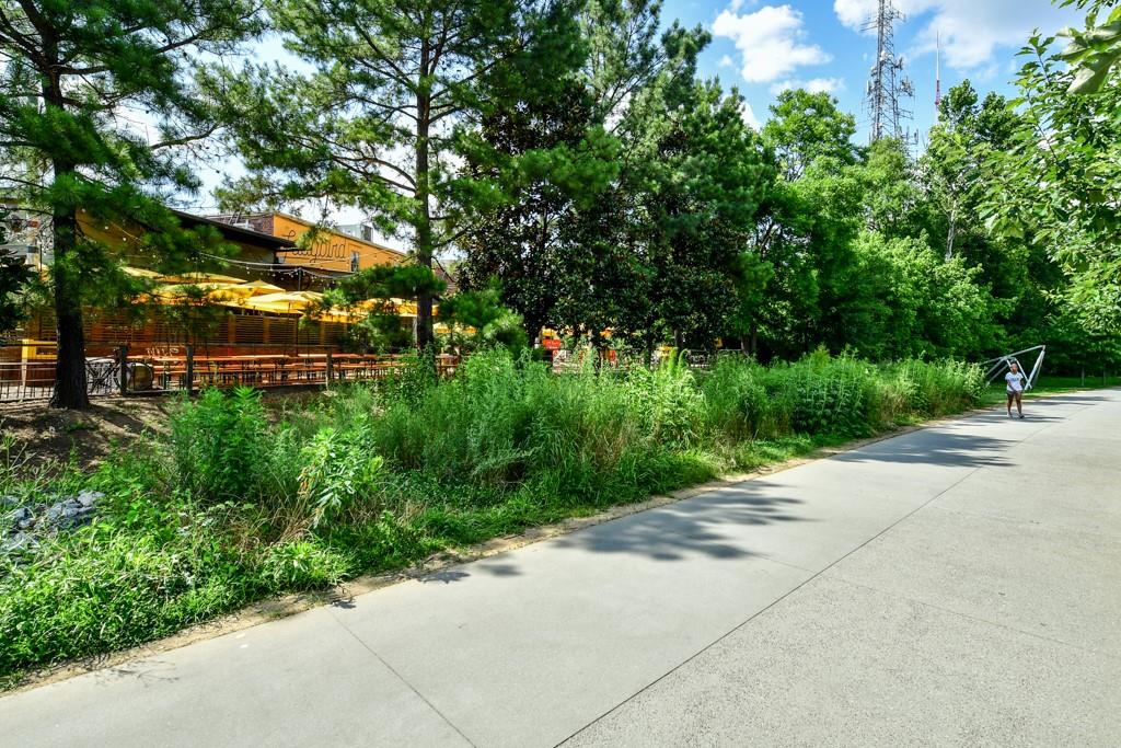 210 Sampson Street Northeast, Unit 5 Atlanta, GA 30312 - Photo 23 of 33 a view of a street with a tree