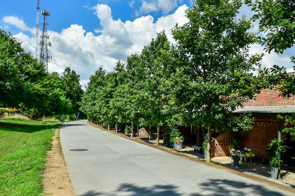 210 Sampson Street Northeast, Unit 5 Atlanta, GA 30312 - Photo 24 of 33 a view of a garden