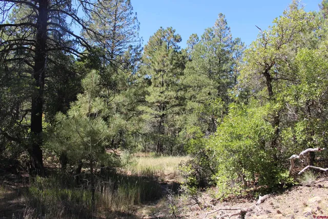 a view of lake with green space