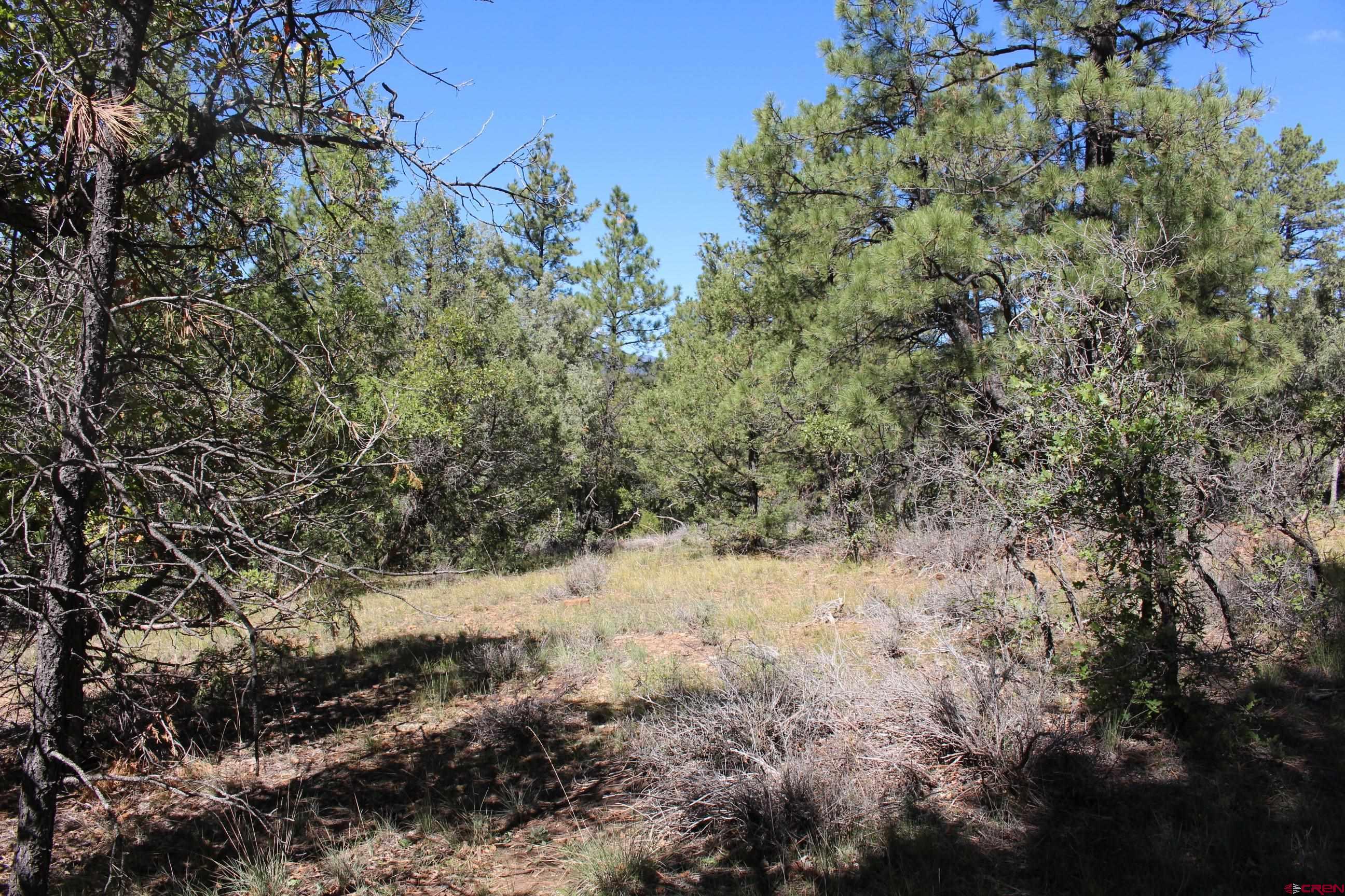 1222 Crooked Road Pagosa Springs, CO 81147 - Photo 15 of 30 a view of a snow in a yard