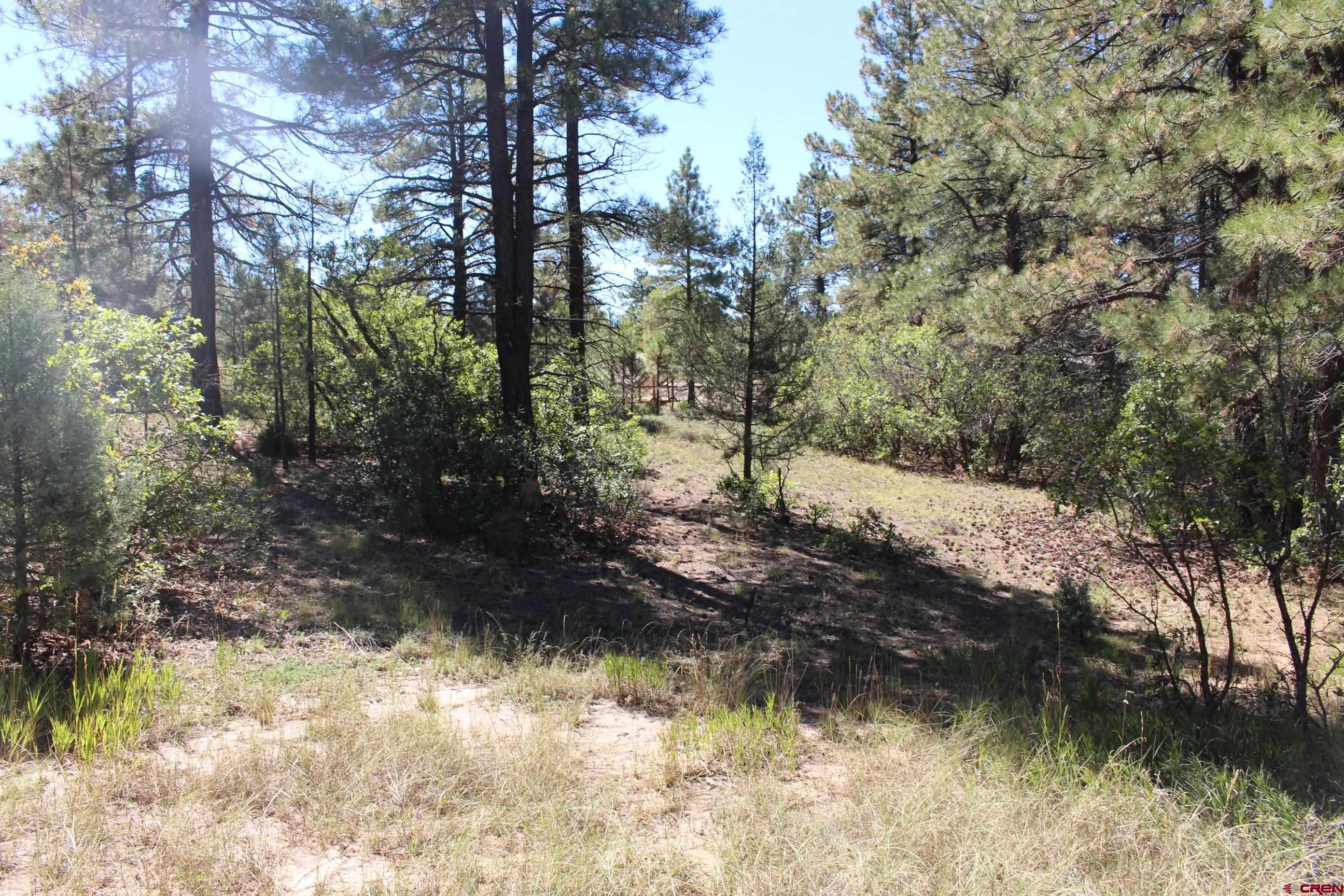 1222 Crooked Road Pagosa Springs, CO 81147 - Photo 24 of 30 a view of a yard with a tree