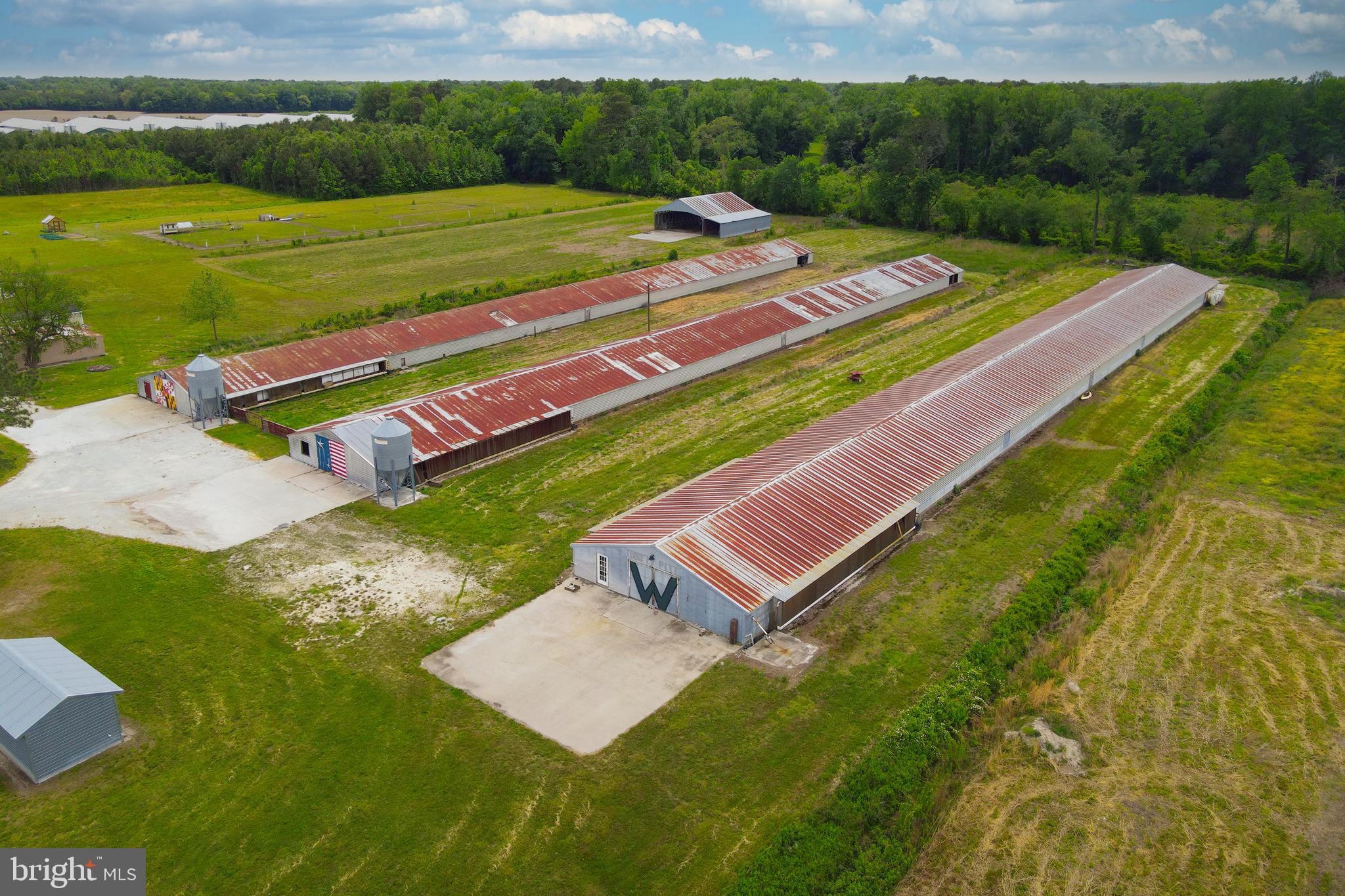 6518 Friendship Road Pittsville, MD 21850 - Photo 5 of 27