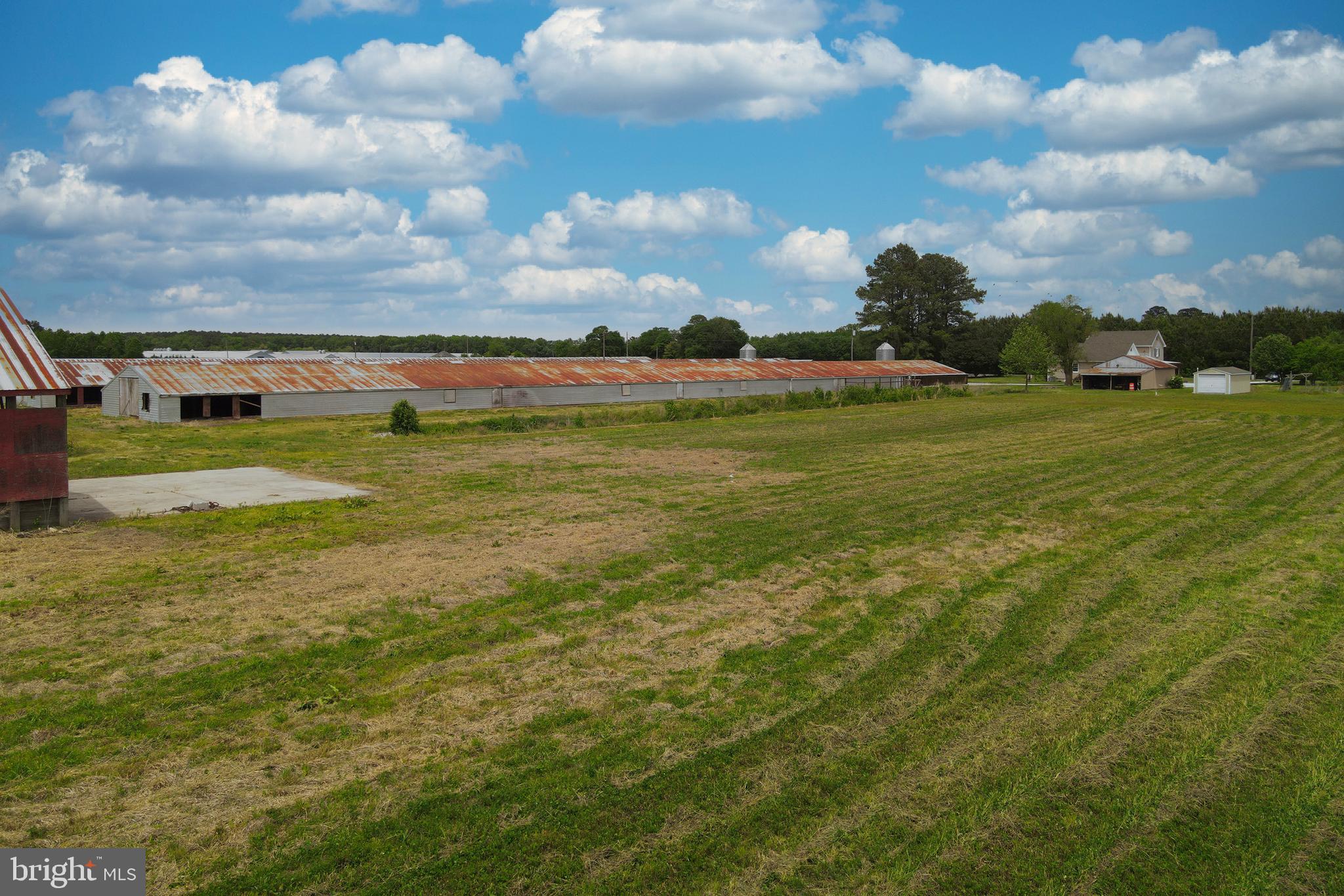 6518 Friendship Road Pittsville, MD 21850 - Photo 6 of 27