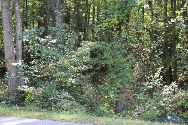 $97,500 | S Waterside Dr & South Waterside Drive, Lanexa, VA 23089